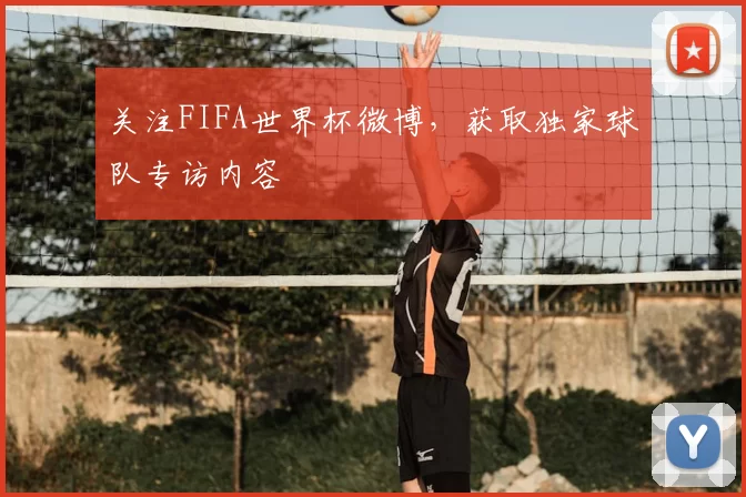 关注FIFA世界杯微博，获取独家球队专访内容