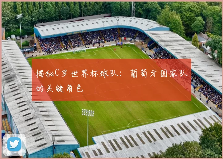 揭秘C罗世界杯球队：葡萄牙国家队的关键角色