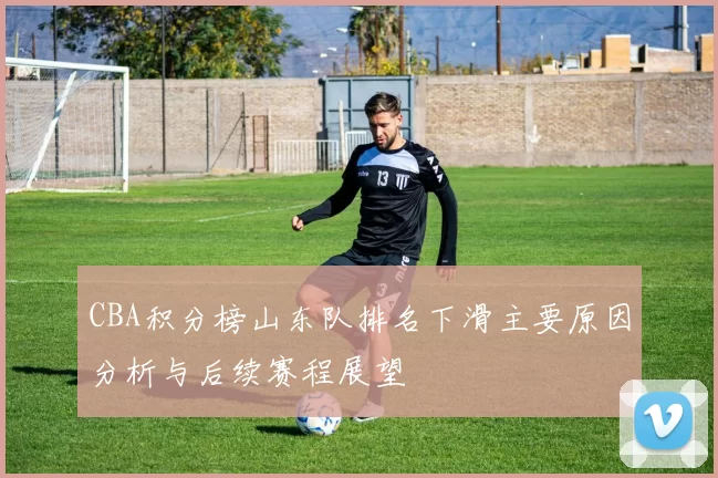 CBA积分榜山东队排名下滑主要原因分析与后续赛程展望