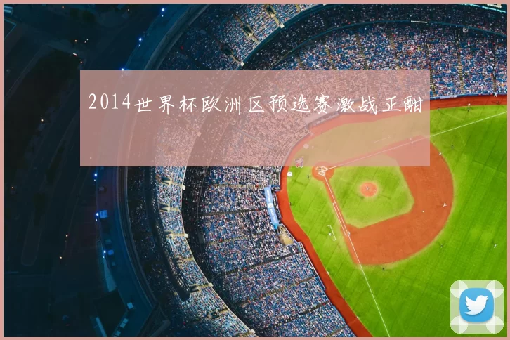 2014世界杯欧洲区预选赛激战正酣