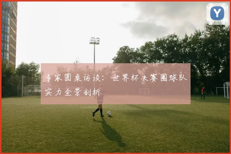 专家圆桌访谈：世界杯决赛圈球队实力全景剖析