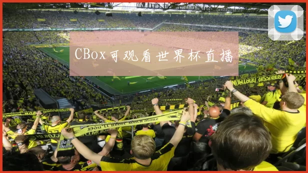 CBox可观看世界杯直播