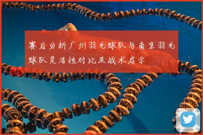 赛后分析广州羽毛球队与南京羽毛球队灵活性对比及战术启示
