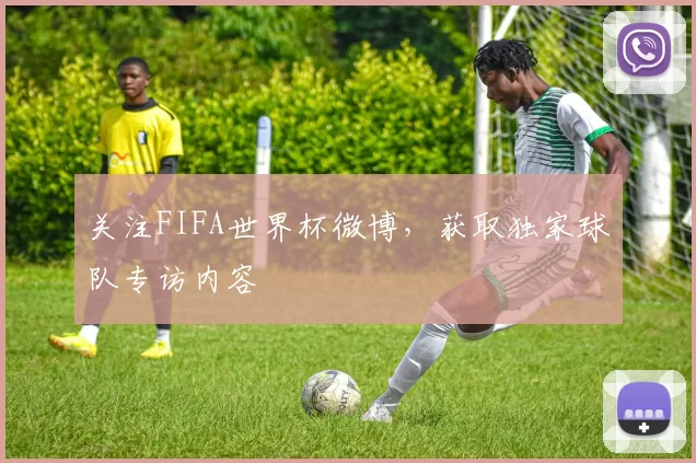 关注FIFA世界杯微博，获取独家球队专访内容